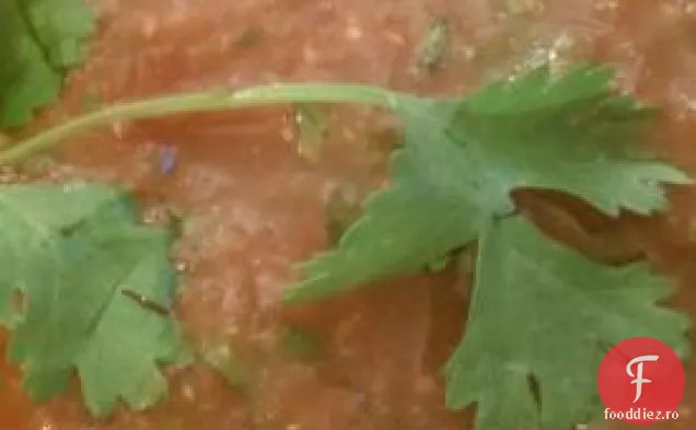Salsa De Roșii De Grădină