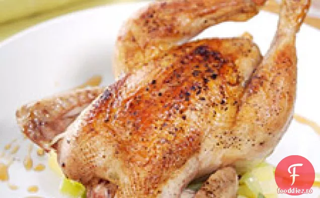 Găini De Vânat Cornish Umplute Cu Tocană De Praz