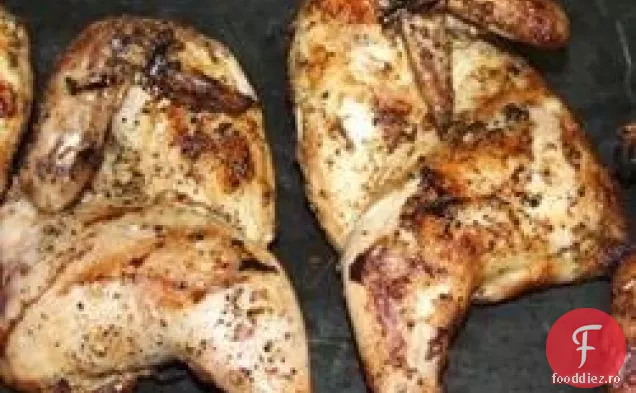 Găini De Vânat Cornish La Grătar