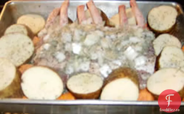 Rack de coaste