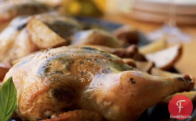 Găini de vânat cu Pesto freca și cartofi prăjiți