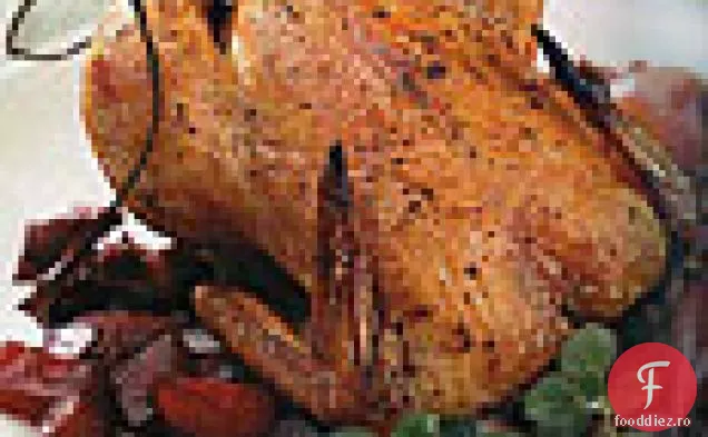 Găini de vânat Cornish cu Pancetta, boabe de ienupăr și sfeclă