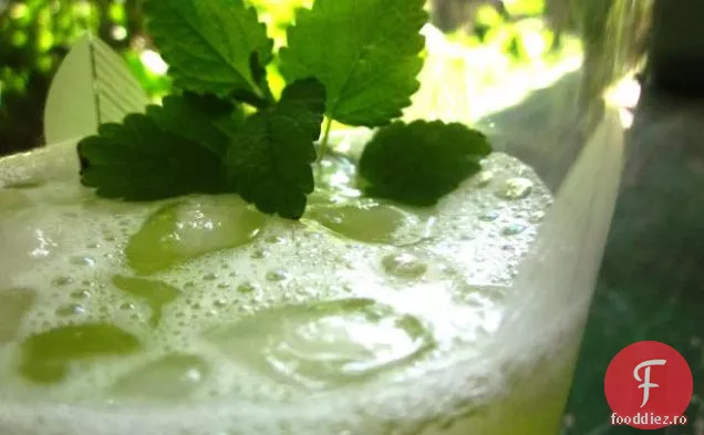 Porumb De Stradă Mexican