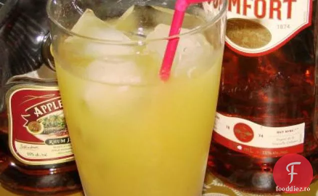 Scăzut de grăsime cheie de var inghetata (nu Churning)