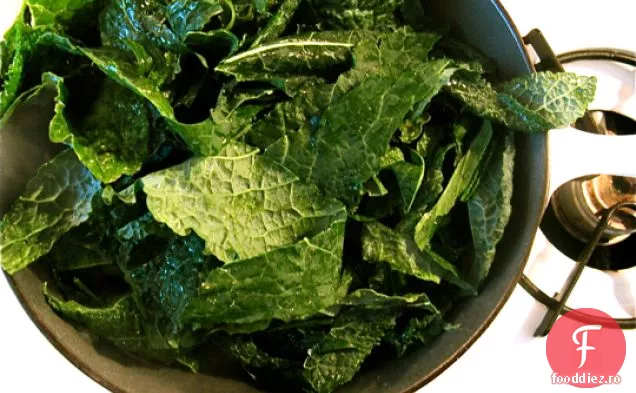 Cavolo Nero Kale