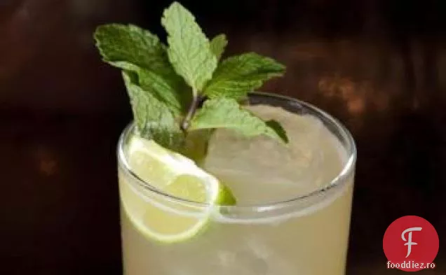 Paloma Mexicană