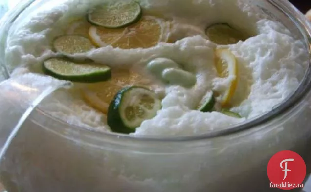 Party Punch (Pentru Copii)