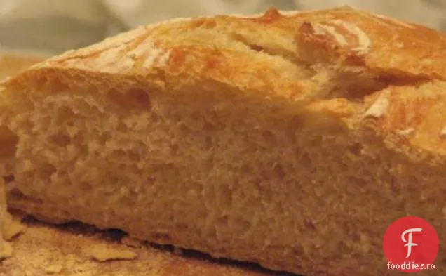 Pâine Artizanală Fără Frământare (Rețeta Principală)