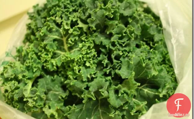 Vegan Cremă Kale