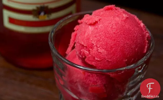 Zmeura-Campari Sorbet