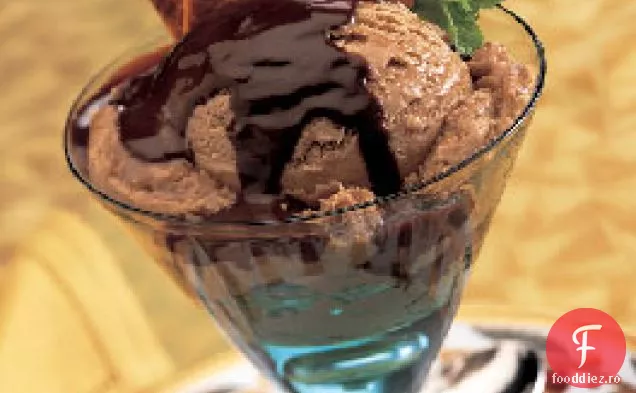 Înghețată de cafea și înghețată mexicană de ciocolată cu chipsuri de tortilla cu scorțișoară și zahăr