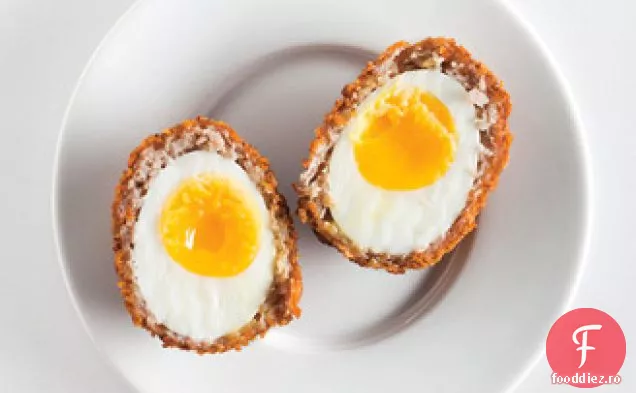 Scotch Egg