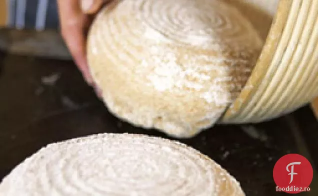 Biscuiți
