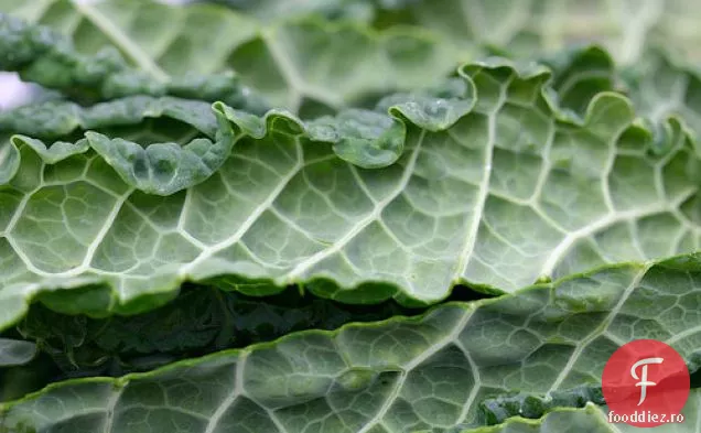 Kale: Monstrul Verde Cu Frunze