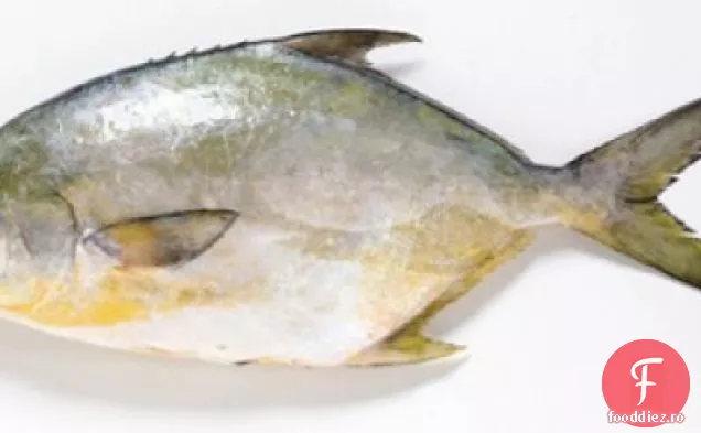 Pompano Prăjită Cu Sânge Portocaliu Avacado Salsa, Butte Coriandru