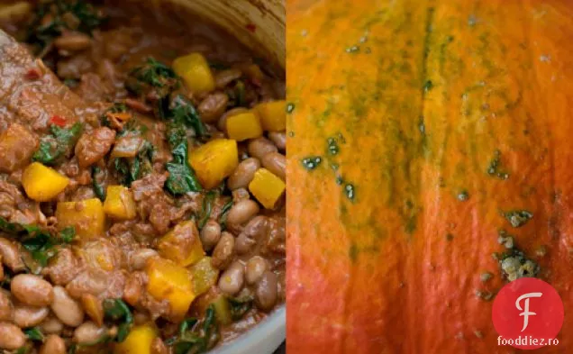 Aluniță De Fasole Borlotti Cu Dovlecei De Iarnă Prăjiți