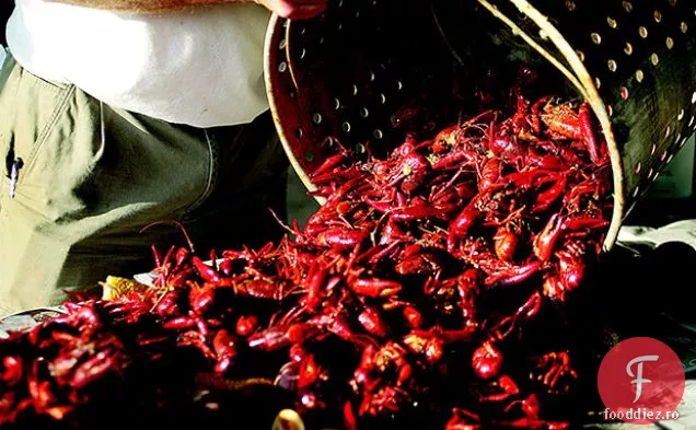 Familia Link Languste Fierbe