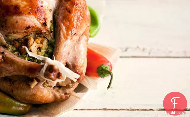 Curcanul umplut cu Tamale din Texas al lui Francis Butler