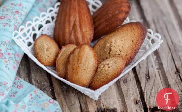 Spekulatius Spiced Madeleines