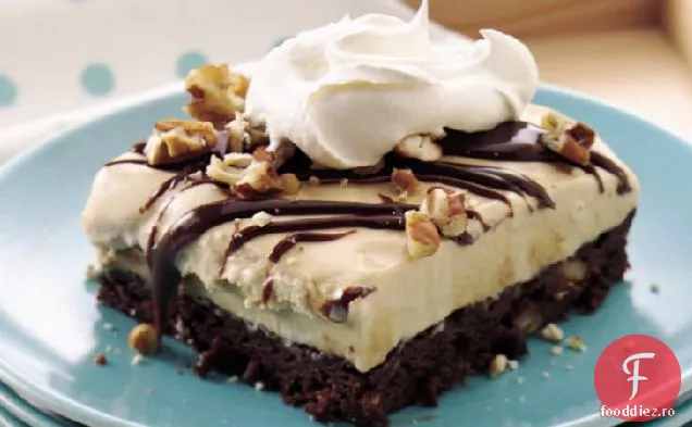 Desert De Înghețată Turtle Brownie