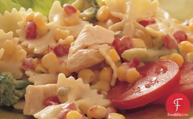 Salată de paste de pui cu sos de ardei roșu prăjit