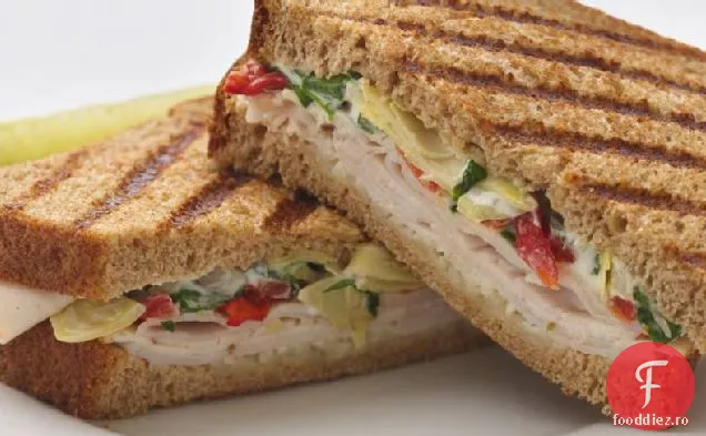 Curcan Slab-Panini De Anghinare