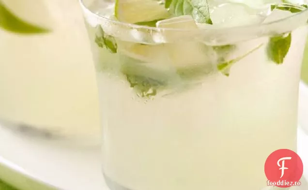 Busuioc Thailandez MOJITarita