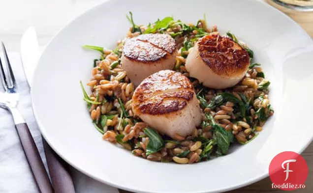 Scoici uscate cu Lamaie Farro și Salată de Rucola