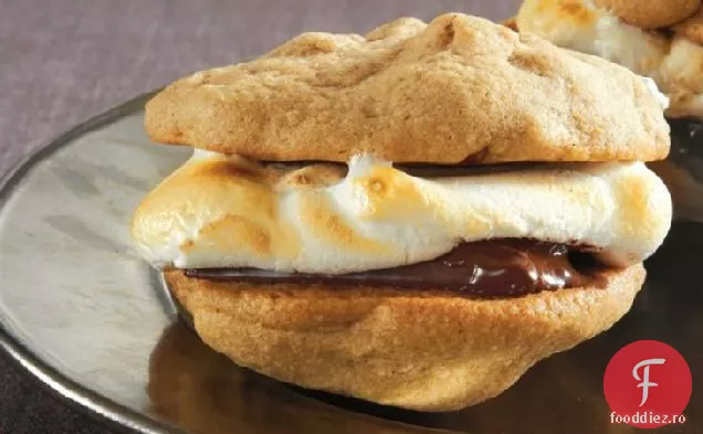 Cinnamon-Pecan Cookie S ' mores