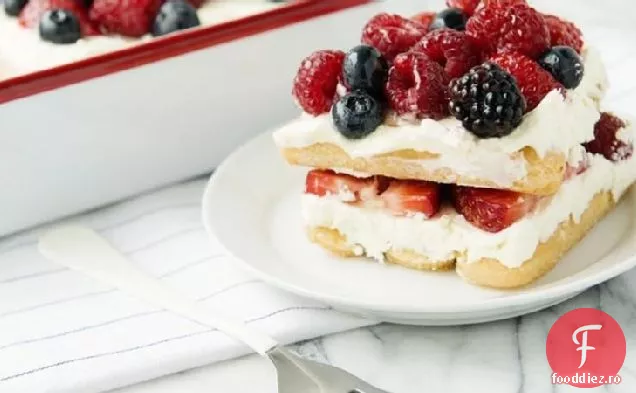 Tiramisu Ușor Cu Fructe De Lămâie