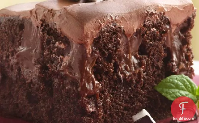 Tort De Ciocolată-Mentă