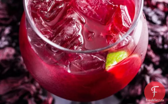 Hibiscus Margarita