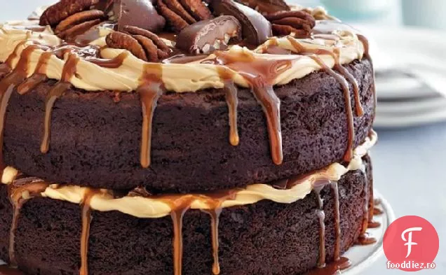 Tort Cu Strat De Broască Țestoasă De Ciocolată
