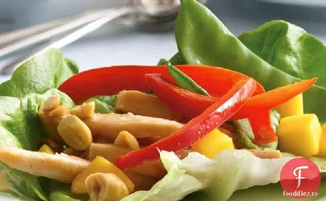 Învelișuri De Salată Umplute Cu Pui