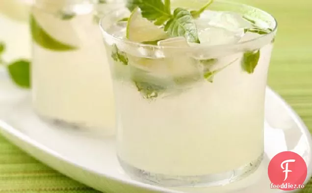 Busuioc Thailandez MOJITarita