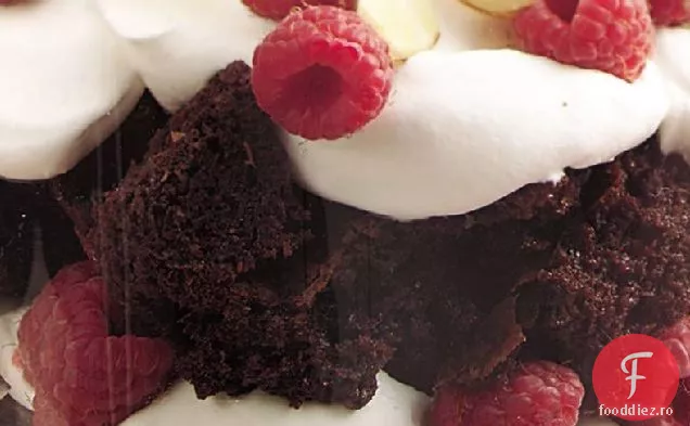 Brownie Fleac