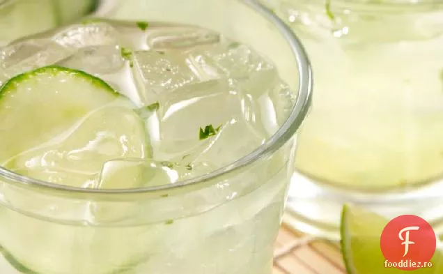 Castravete Cilantro Margarita
