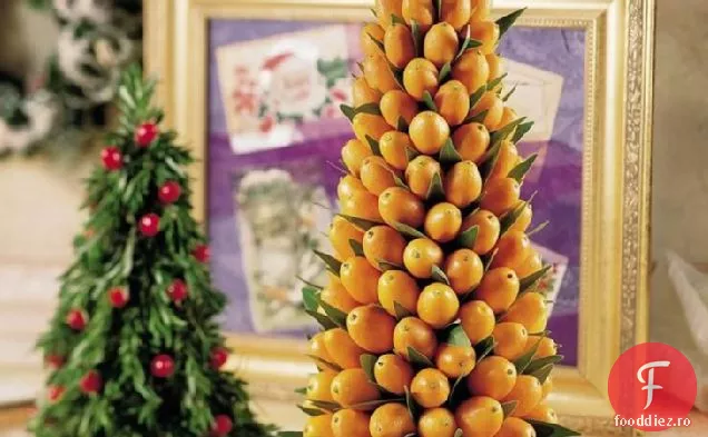 Kumquat și copac cu frunze de dafin