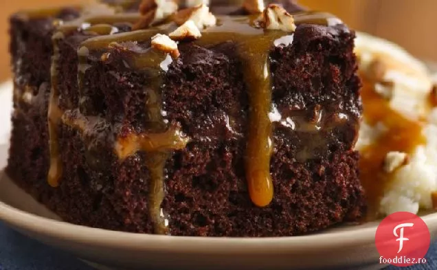 Tort De Broască Țestoasă Cu Ciocolată