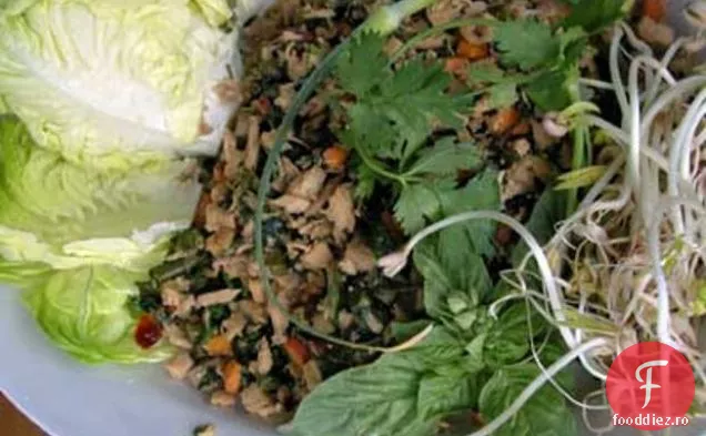Salata Asiatică Se Înfășoară Cu Scapes De Usturoi