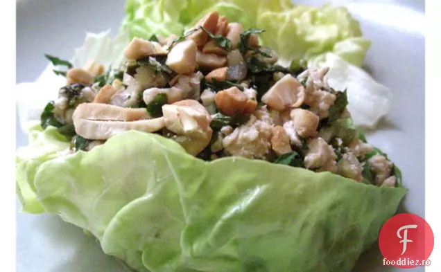 Împachetări Cu Salată De Pui Thailandeză