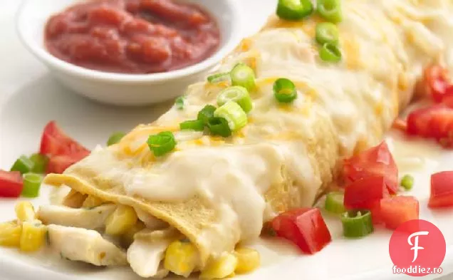 Enchiladas De Pui Cremos Slab