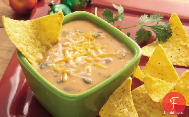 Slow-Aragaz Nacho Bean Dip