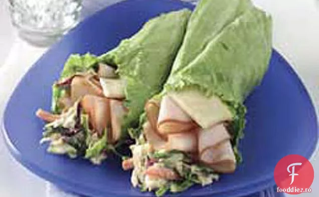 Folie De Salată De Curcan Thailandeză