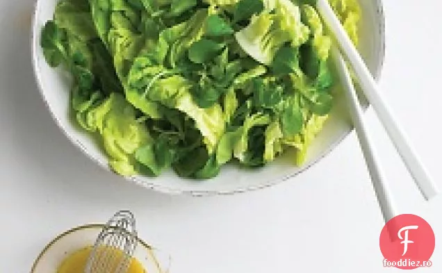 Salată De Salată Fragedă