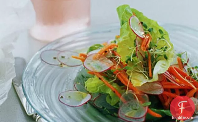 Salată De Salată Și Salată De Legume De Primăvară