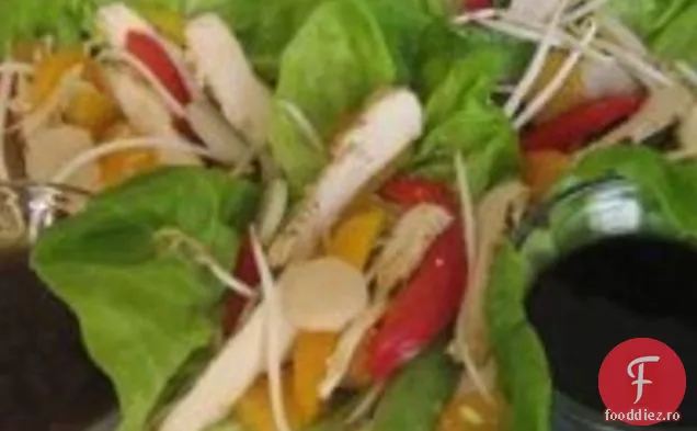 Kewl Salată Asiatică Împachetări
