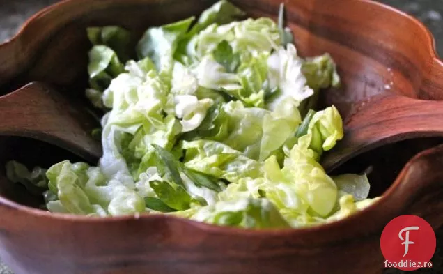 Rețetă De Salată Cu Unt Și Salată De Plante De Grădină