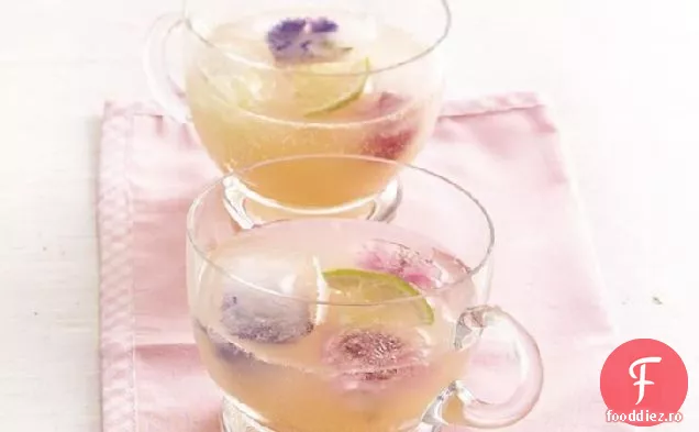 Grapefruit Citrus Cooler