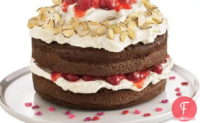 Tort Pădurea Neagră